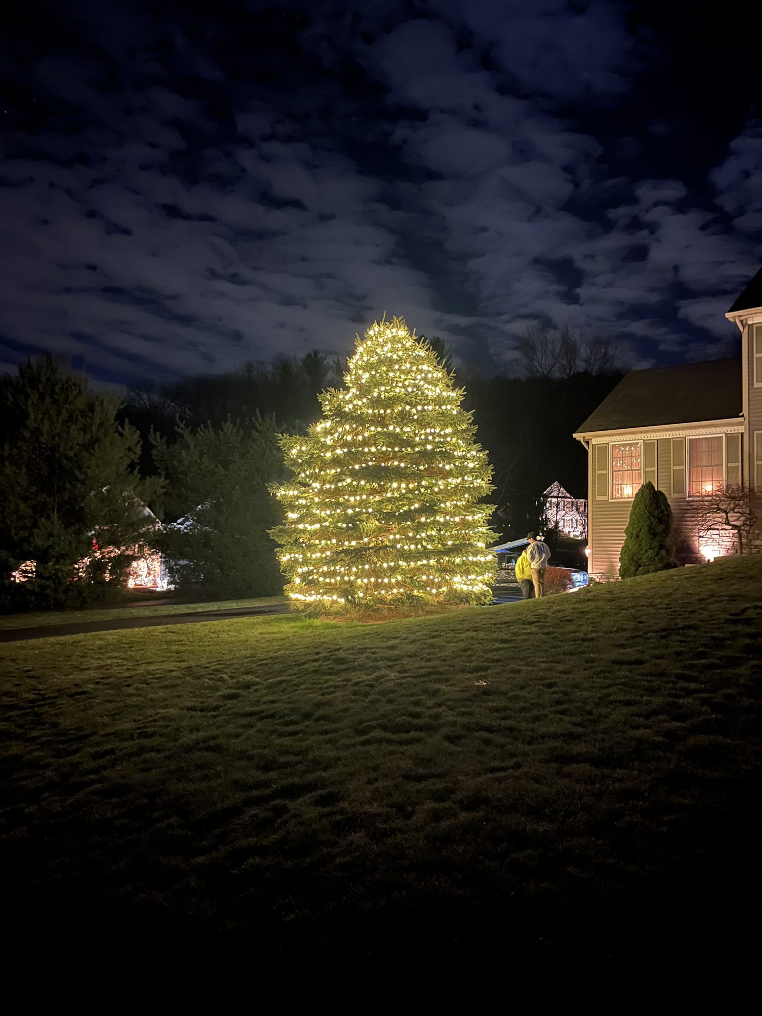 A tall evergreen in a front yard fully wrapped in warm white lights under a cloudy night sky